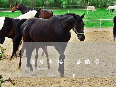 信用卡起訴后能否債務重組？如何辦理？